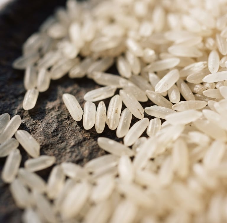 Macro shot of raw, translucent white rice grains on a dark surface, bright natural side-light highlighting grain texture, shallow depth of field, 35mm