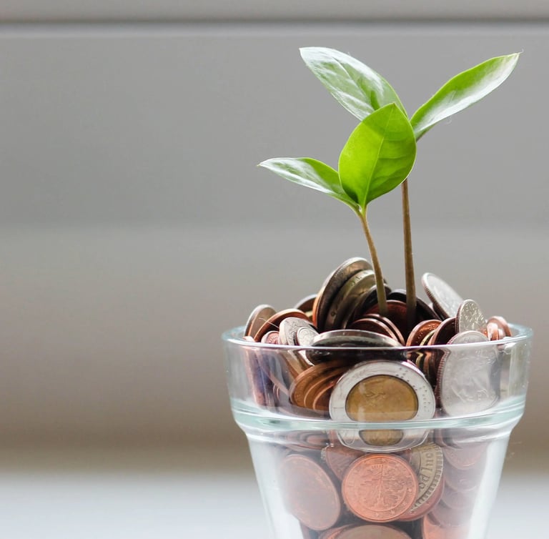 green plant in clear glass cup