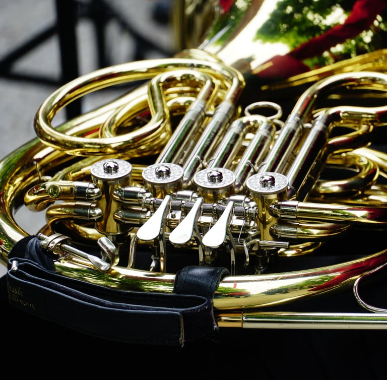 un cor dans son étui rouge