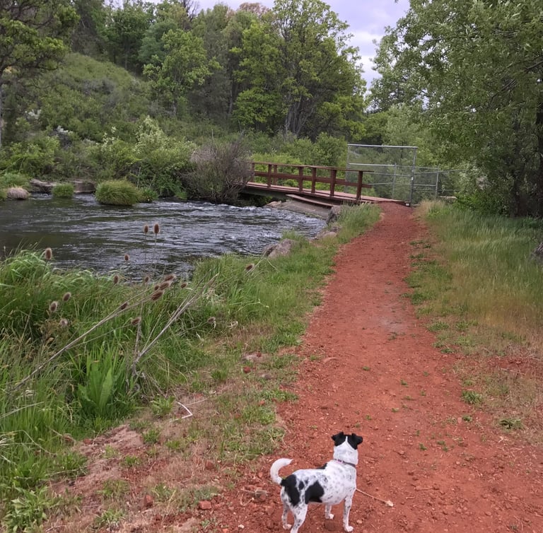 Red Road of Burney California
