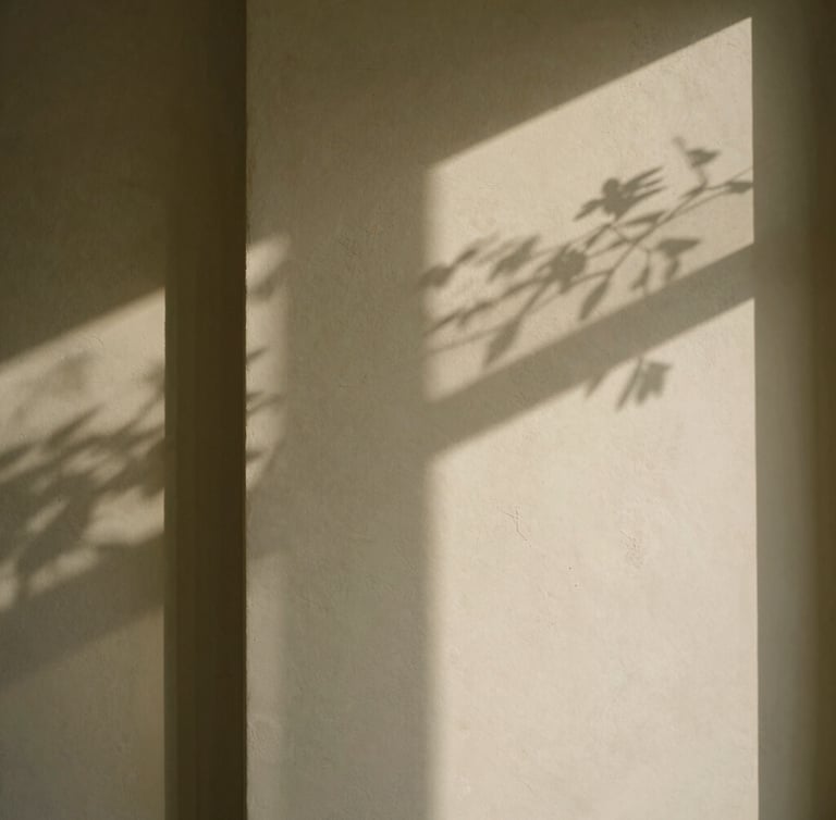 Quiet architectural detail of a sunlit corner inside the clinic, soft shadow of a branch on a textured beige plaster wall, minimalist Lemaire aesthetic, 35mm