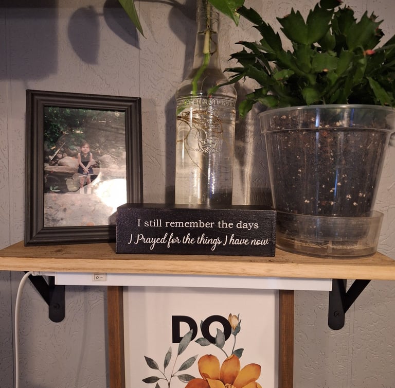 Floating wall shelves used for plants and home decor.