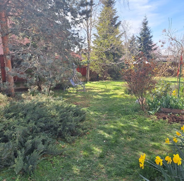 a Juniper border layout