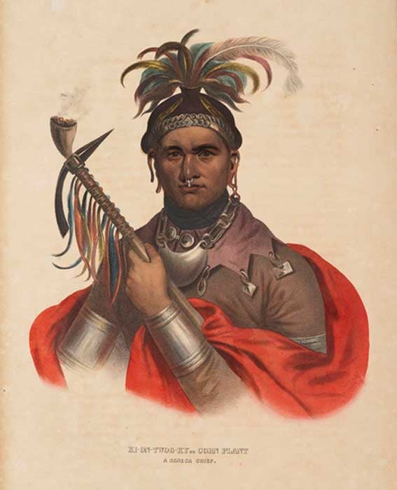 Cornplanter was a Seneca chief who fought for the British and the Americans