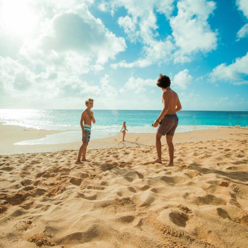 Jellyfish, Marine Debris, Poor Water Quality and Other Beach Hazards