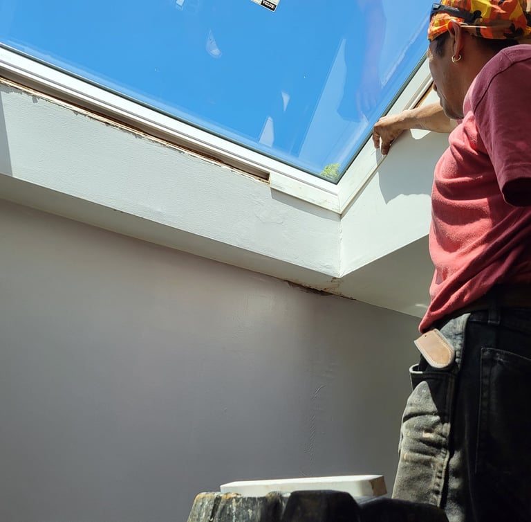 skyligth repair