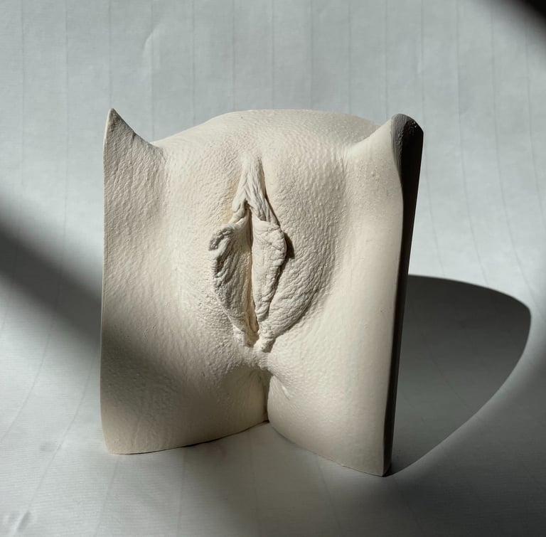 Vulve en plâtre sur fond blanc