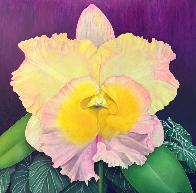 Christine Knize Yellow and Pink Orchid, Large-scale Orchid Paintings