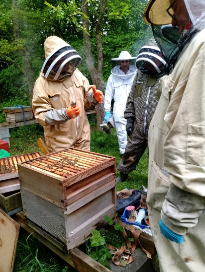 beekeepers having a discussion around an open colony of honeybees