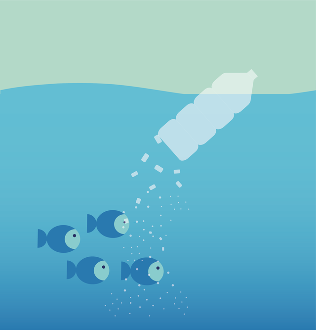 the platic breaks down into smaller micro or nano plastic