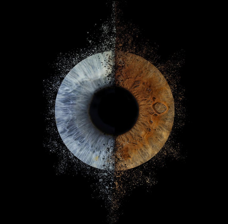 photohraphie iris narbonne