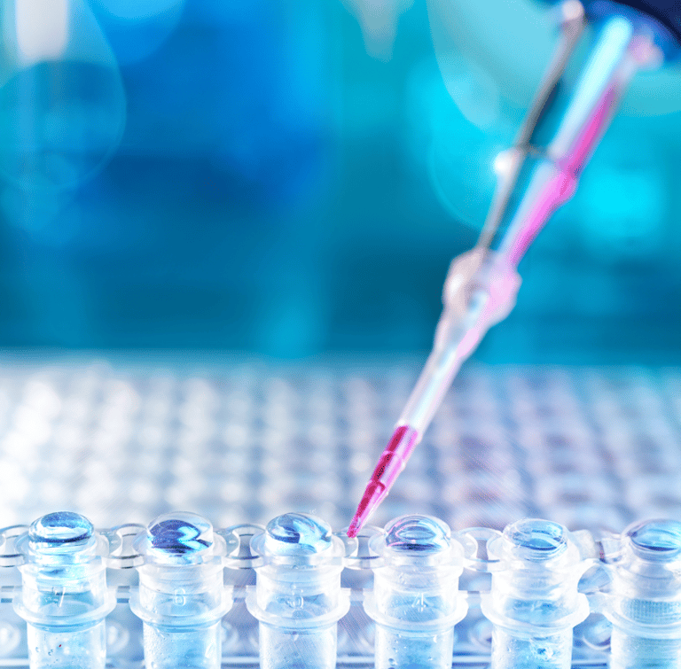 Pipette transferring liquid to a well plate