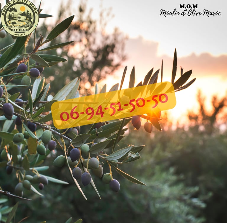prix olive maroc