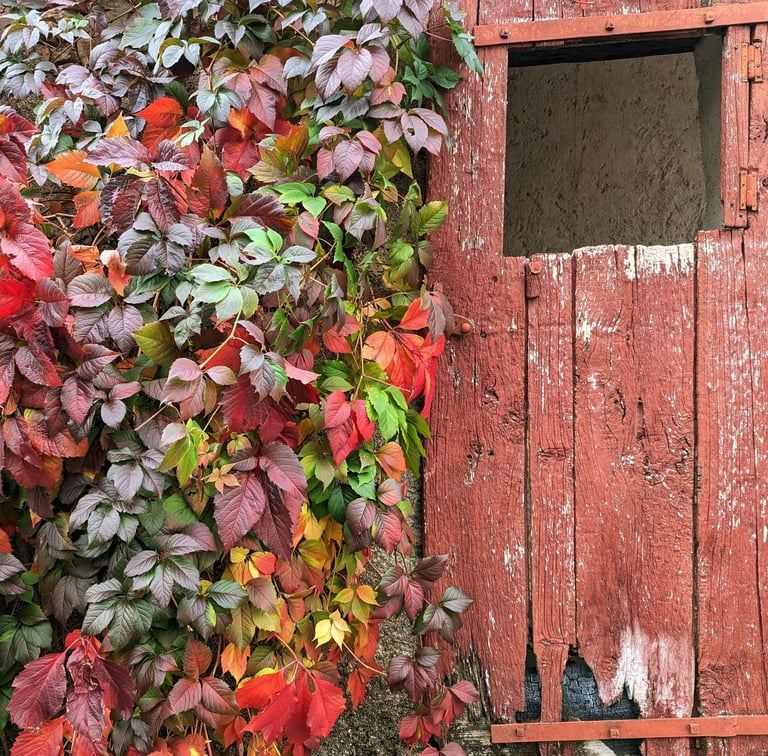 Une porte rouge entourée de feuille de toutes les couleurs