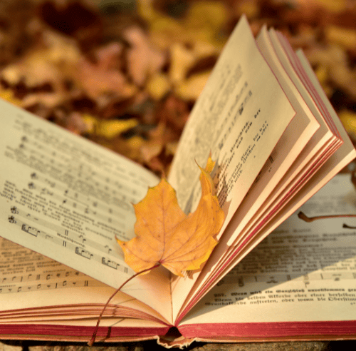 A fall leaf lays on an open book