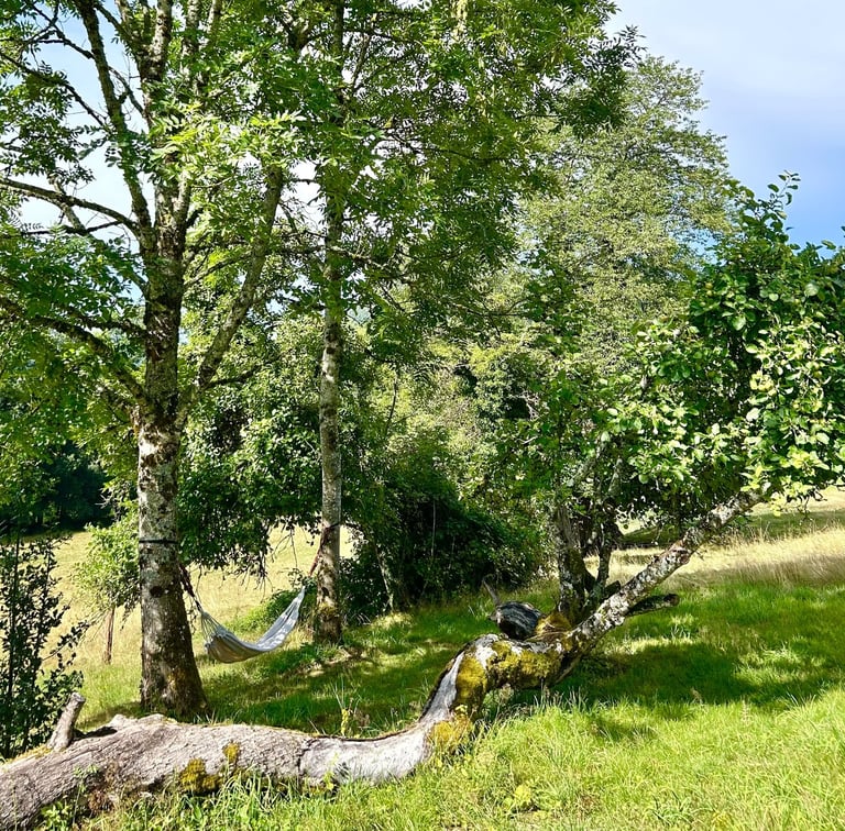 a hammock under the trees to relax in France