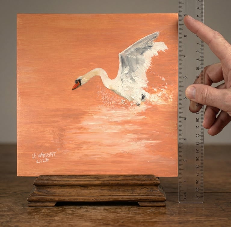 Original oil painting of swan with image showing the exact dimensions of the painting