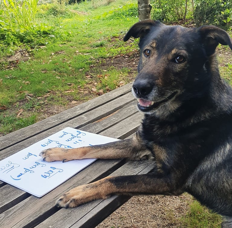 Un chien qui fait une séance d'évaluation avec un cahier 
