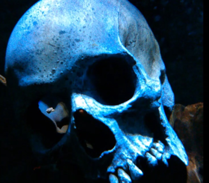 Weathered skull in deep shadow