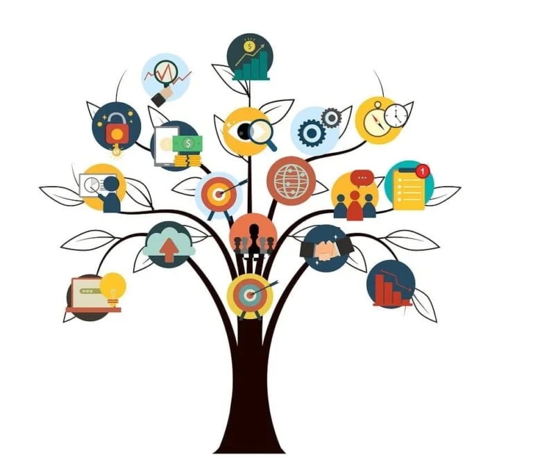 business establishing a business startup