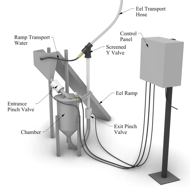 EelStream Eel Lift