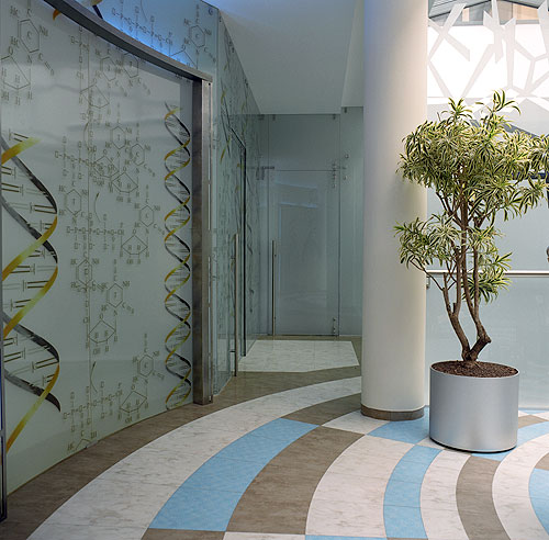 grindu sprendimai klinikoms