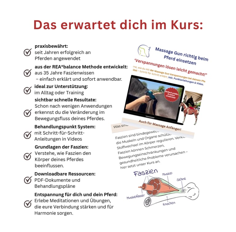 Inhalte des Massage Gun Kurses