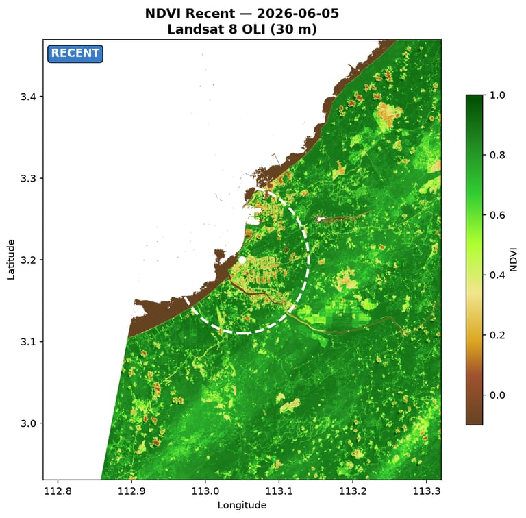 Baseline and recent vegetation-index views, used to compare broad vegetation condition over time.