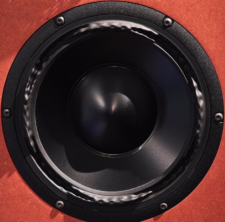 Present Day Production Studio monitor Purifi PTT8 woofer