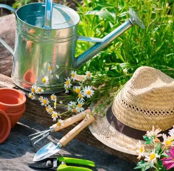 Outillage pour le jardin 