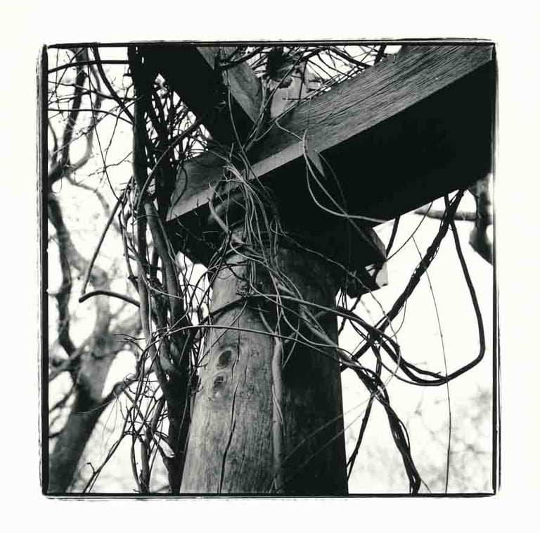 A wooden pilar in a garden in London