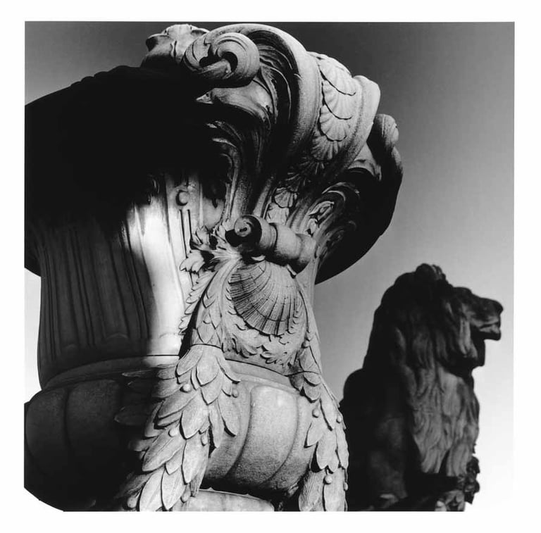 Sculpture of a Lion in Paris, France. Silver-gelatine analogue photography.