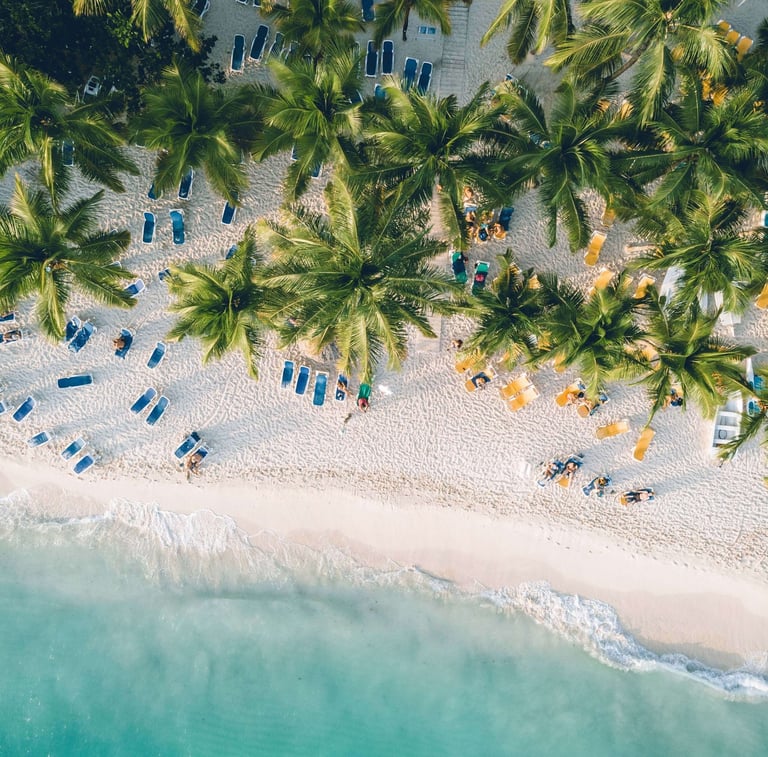 View of beach, ocean waves and palm trees from above
