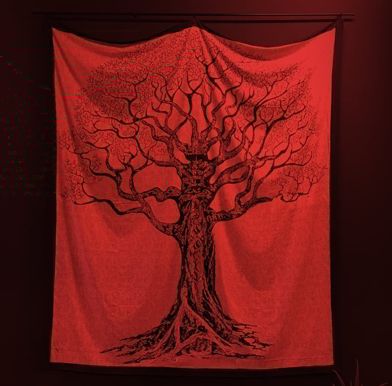 ASD Movimento Bergamo - Albero della vita
