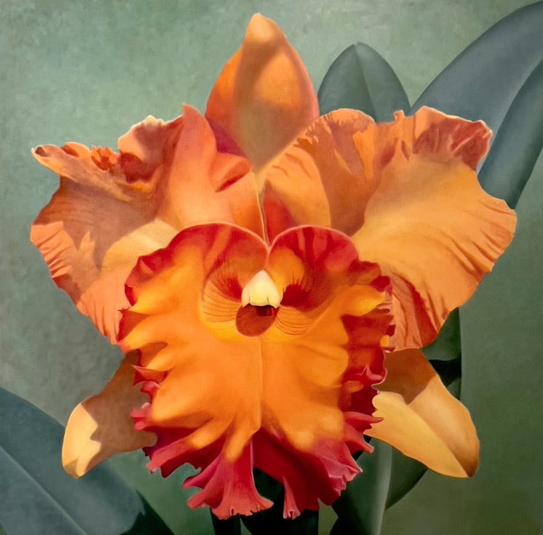 Christine Knize,Orange Cattley Orchid, 72"x72", Oil on Canvas, High End Fine Art