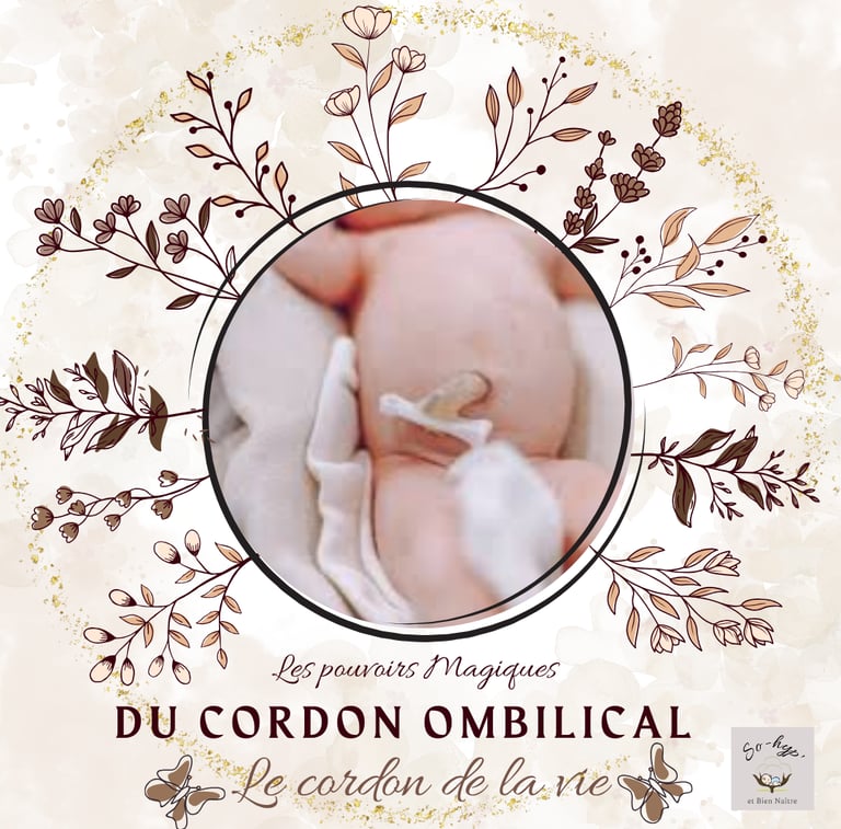 les secrets du cordon