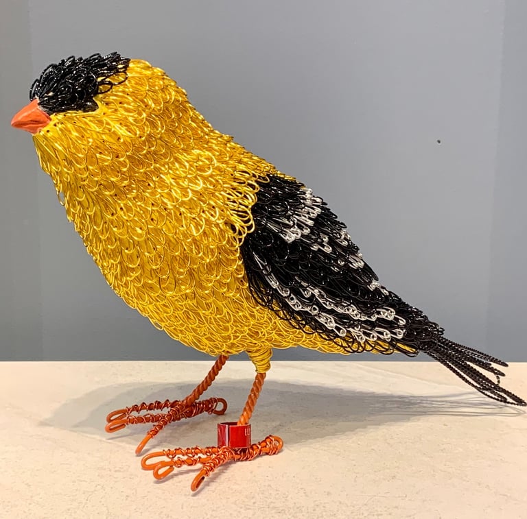 MR G. FINCH - pine and plated wire by Guy Cranston