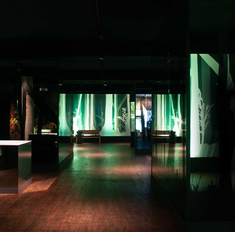 Ausstellung Nationalpark Tor Erbeskopf