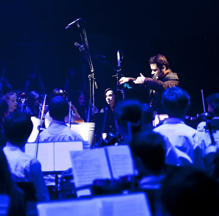 Éric du Faÿ in a concert