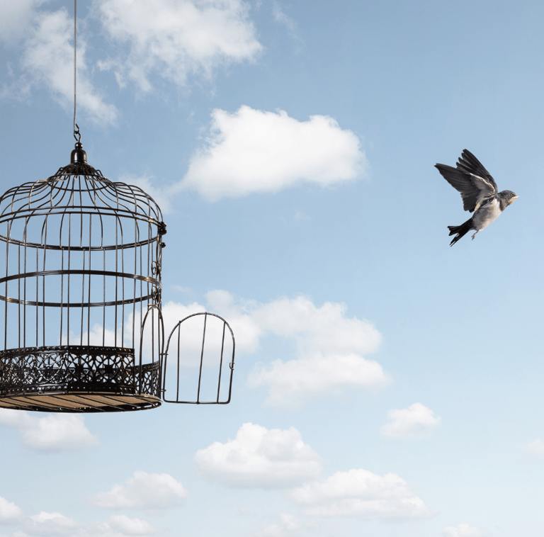 Freedom from Suffering