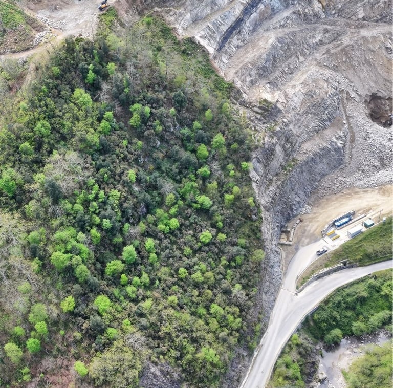 Immagine aerea di area di cava