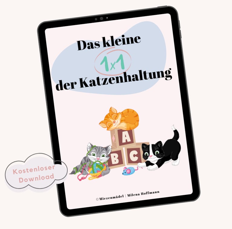 Ein Tablet mit einem Buchcover, auf dem spielende Katzen zu sehen sind