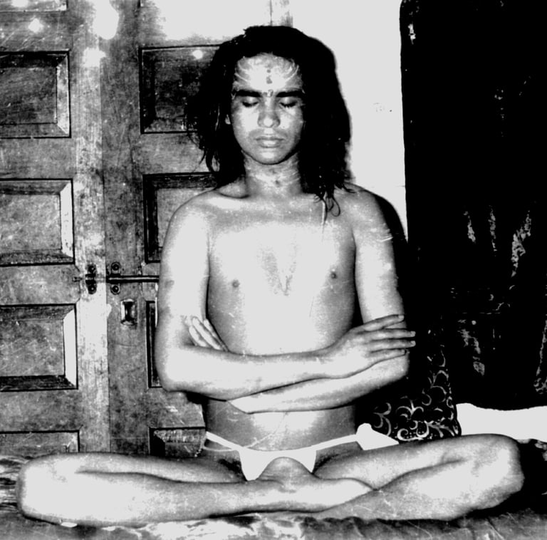 Shri Babaji Mahavatar in meditazione