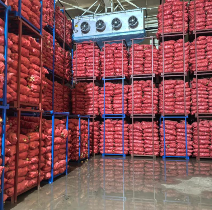 potato cold storage room with sprout control system