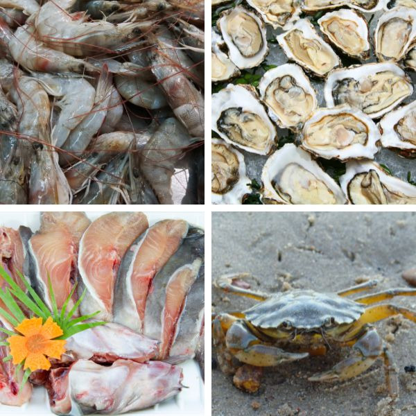 raw seafood