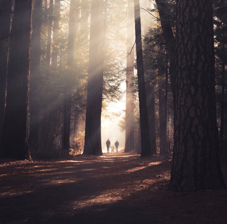 Adventures Of Daddy And Teddy