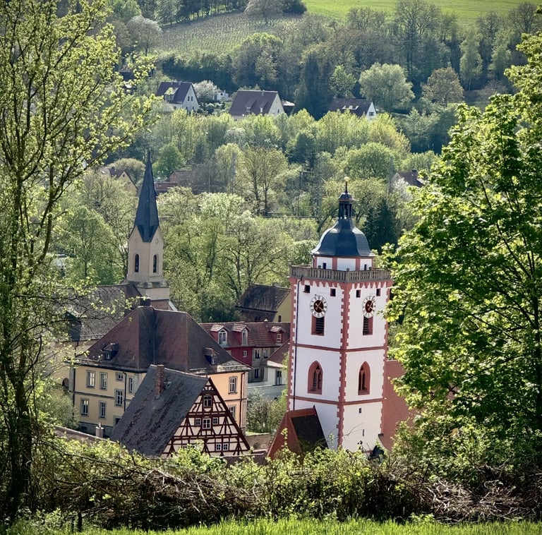 aussicht auf marktbreit vom eigenen weinberg