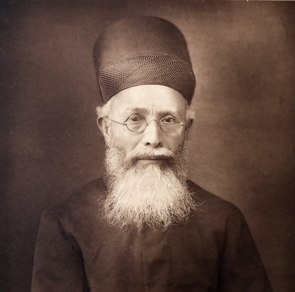 Dadabhai Naoroj on They Did I Can Too representing the Politicians section.