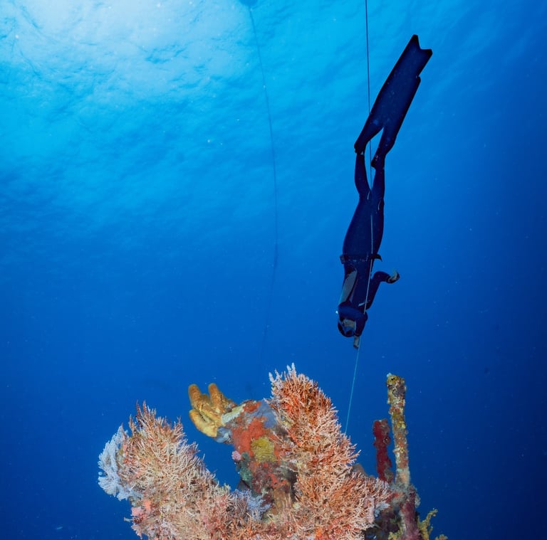 Anbadlola voyage france guadeloupe