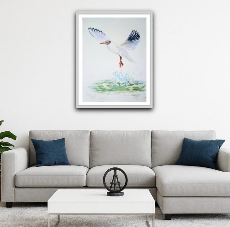 Black headed Gull original in a mock frame